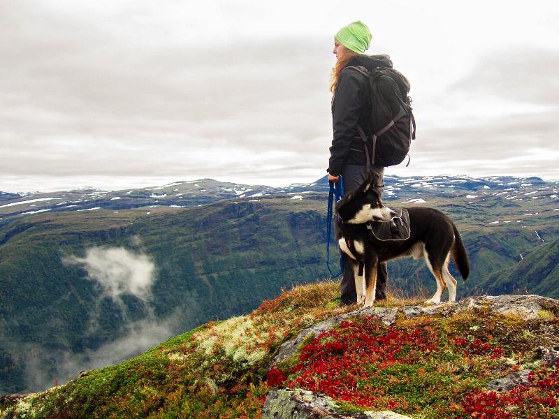 mujer con perro en la montaña